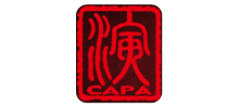 йݳҵЭᣨCAPA