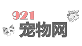 921