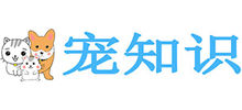 ֪ʶ