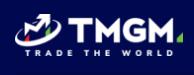 TMGM